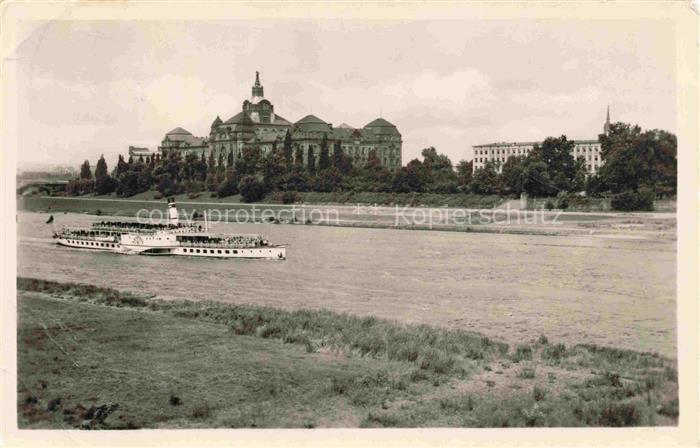 DRESDEN Elbe Elbepartie mit Schloss