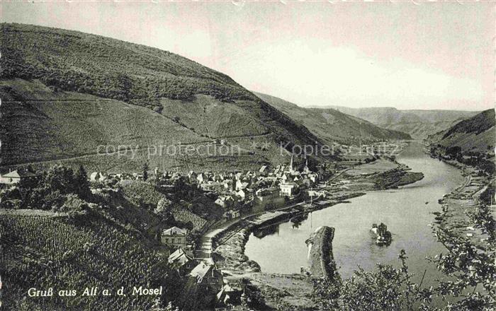 Alf Bullay Mosel Panorama