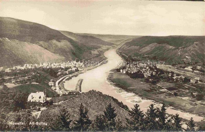 Alf Bullay Mosel Moseltal Panorama