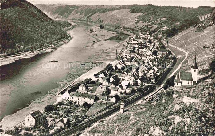 Hatzenport Mosel Panorama