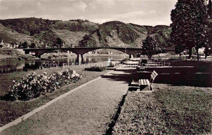 Treis-Karden Mosel Rheinland-Pfalz Moselpartie Promenade