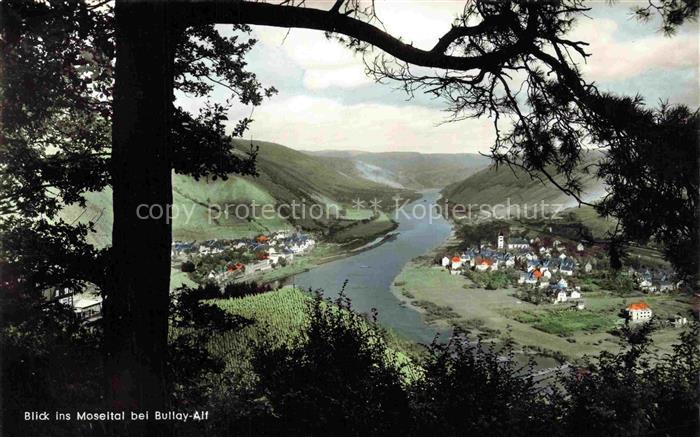 Alf Bullay Mosel Blick ins Moseltal