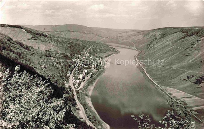 Briedel Mosel Rheinland-Pfalz Moselpartie