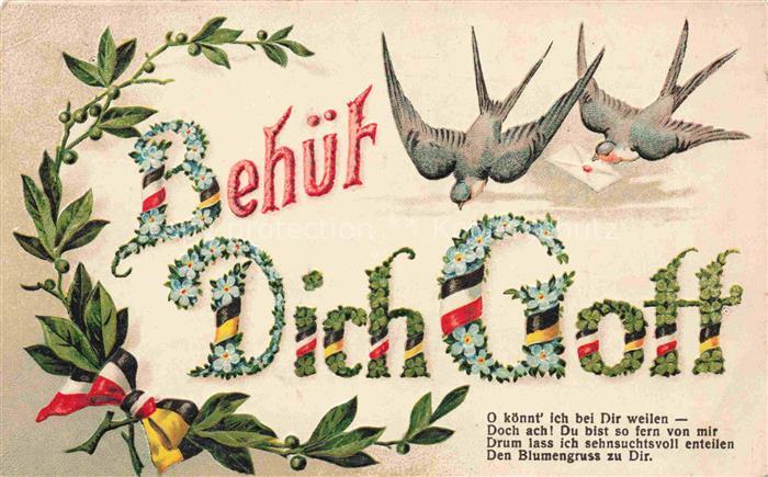 Schwarz Weiss Rot-Flagge (SWR) Litho Brief Tauben