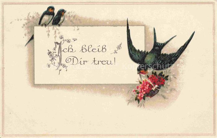 Schwalben Swallow Hirondelle Golondria Voegel Birds Oiseaux Ser. 1034 ich bleib