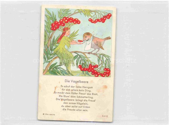 IBM BOHATTA-MORPURGO Ida (1900-1992) Kuenstlerkarte die Vogelbeere