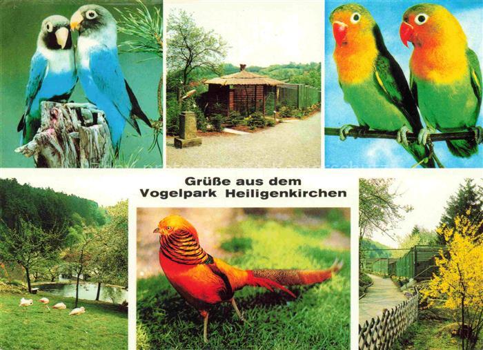 Voegel Birds Oiseaux Park Heiligenkirchen Hermanns Denkmals