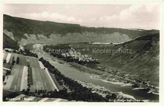 Mesenich Mosel Cochem Rheinland-Pfalz Fliegeraufnahme