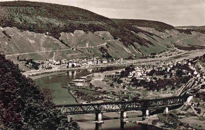 Alf Bullay Mosel Panorama