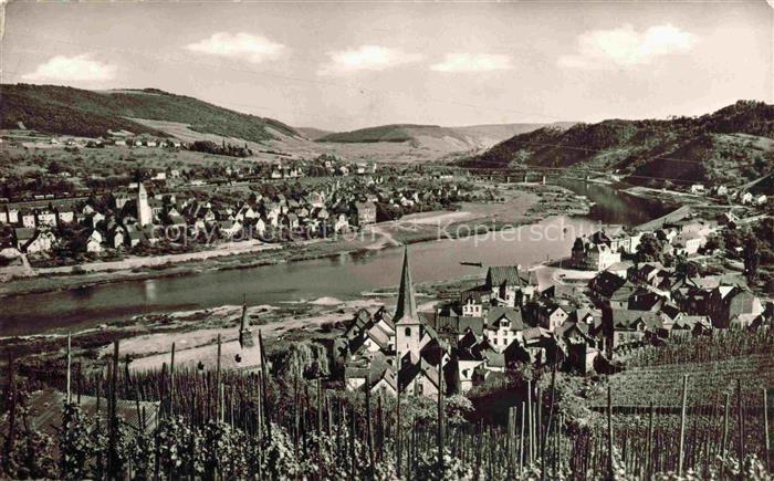 Alf Bullay Mosel Panorama
