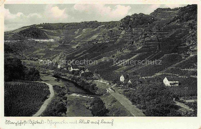 Mayschoss Ahr Rheinland-Pfalz Obergarten mit Blick auf Laach