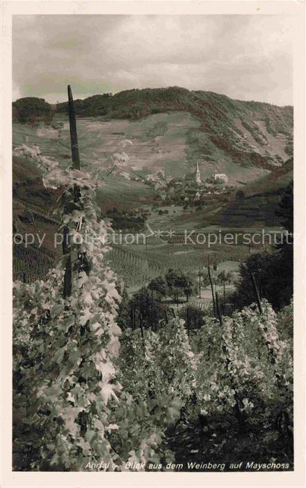 Mayschoss Ahr Rheinland-Pfalz Blick aus dem Weingarten