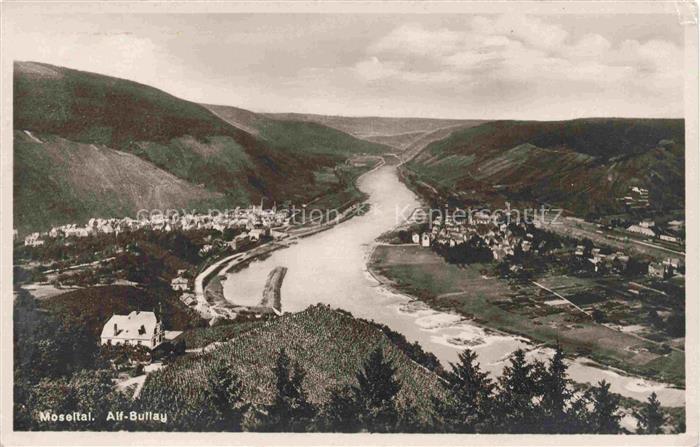 Alf Bullay Mosel Panorama