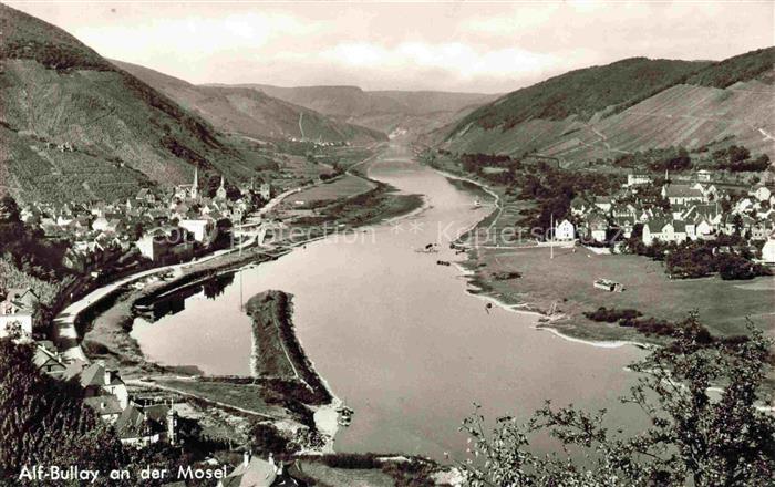 Alf Bullay Mosel Panorama Moselpartie