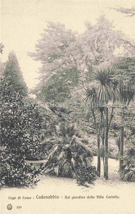 Cadenabbia Griante Lago di Como Lombardia IT Nel giardino della Villa Carlotta