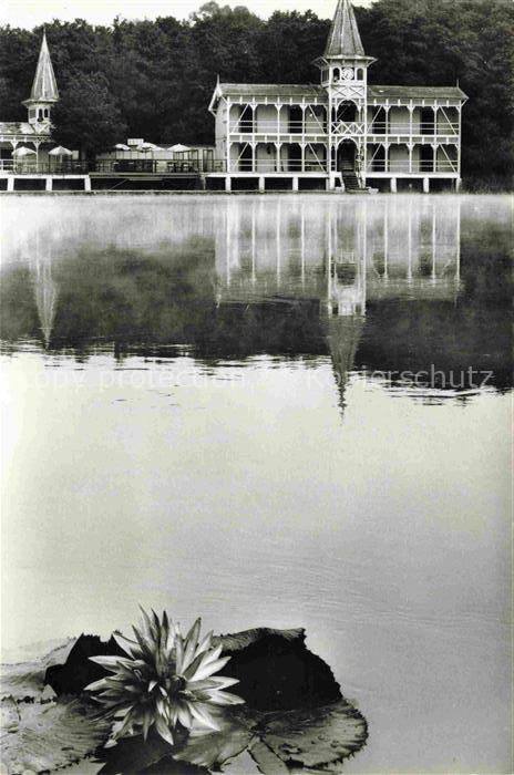 Heviz Hevizgyogfuerdoe HU Heviz Health Resort