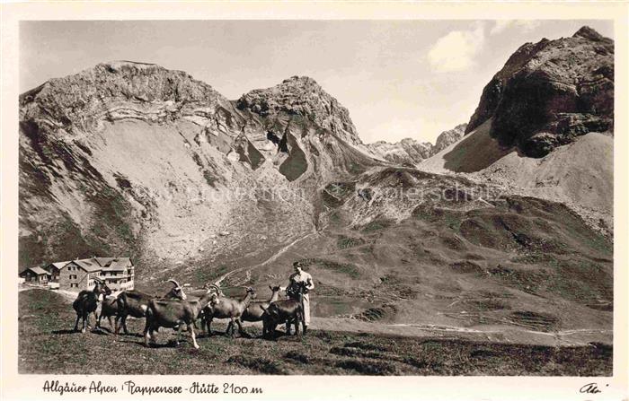 Rappenseehuette 2091m Allgaeuer Alpen Oberstdorf Bayern Panorama mit Ziegenherde