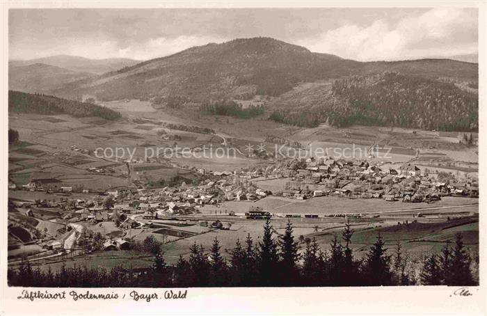 Bodenmais Regen Bayern Panorama