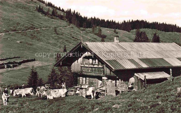 Gindlalmen Hausham Miesbach Bayern Panorama