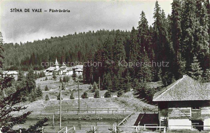 Stana de Vale Pastravariei Forellenzucht Berglandschaft Tannen Holzgebaeude Karp