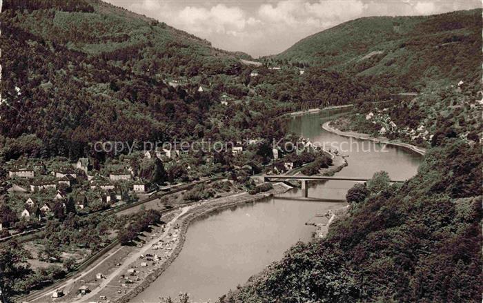 Ziegelhausen Heidelberg BW Neckar Neckartal Bruecke Zeltplatz Wald Hang Haeuser
