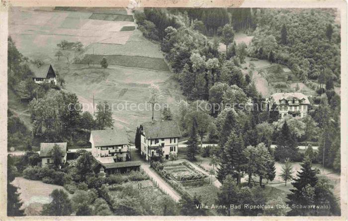 Glaswaldsee Bad Rippoldsau Schwarzwald Villa-Anna Pension Schwarzwald Felder Wal