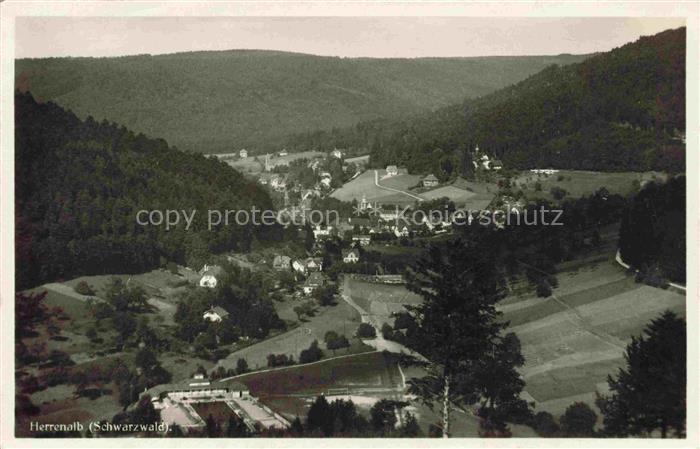 Herrenalb BAD HERRENALB BW Schwarzwald Tal Panorama Wald Wiesen Dorf S/W-Fotokar