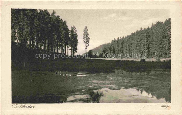 Buhlbachsee Obertal Baiersbronn Freudenstadt BW See Wald Schwarzwald Baeume Spie