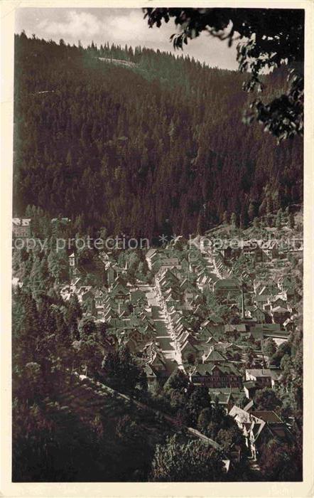 Triberg Schwarzwald BW Schwarzwald Nadelwald Tal Daecher Kirche Haeuser Berghang
