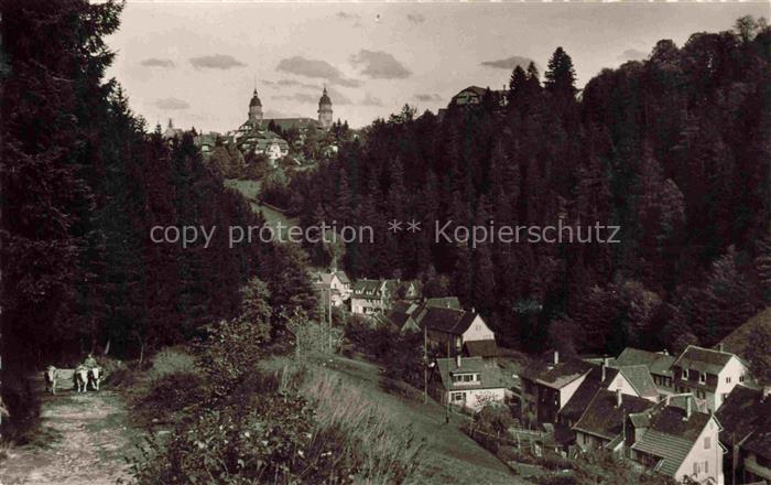 Alexanderschanze KNIEBIS Schwarzwald Freudenstadt BW Schwarzwald Nadelwald Kirch