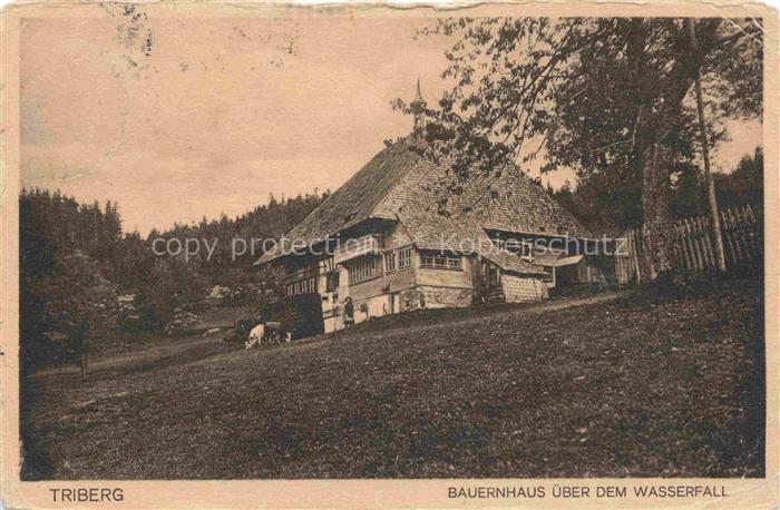 Triberg Schwarzwald BW Bauernhaus-ueber-dem-Wasserfall Schwarzwaldhof Schwarzwal