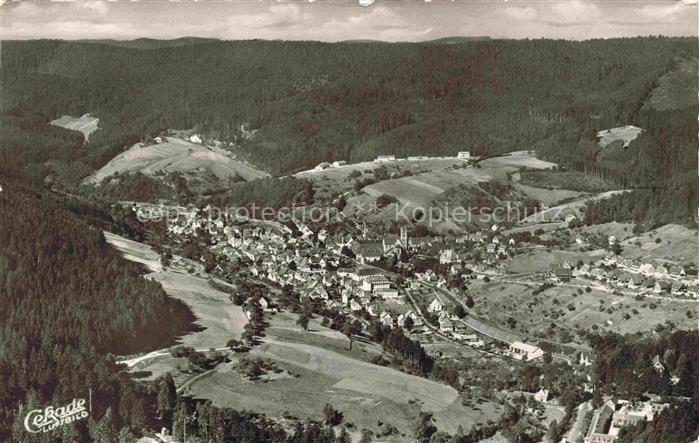 Alpirsbach Freudenstadt BW Klosterstadt Schwarzwald Kloster Tal Wald Haeuser Fel