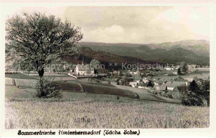 Hinterhermsdorf Sebnitz Sachsen Dorfpanorama Kirche Felder Wald Berge Saechsisch