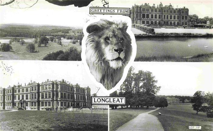 Longleat Warminster West Wiltshire UK Longleat-House Loewe Safari-Park Schloss P