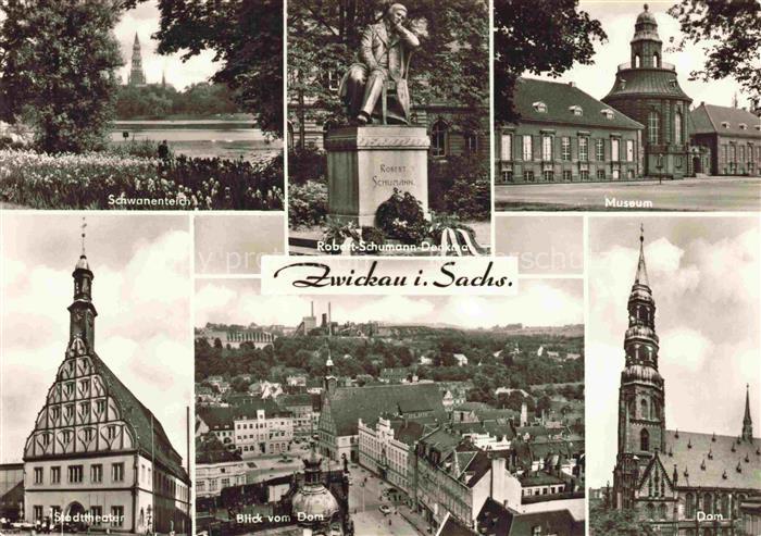 ZWICKAU  Sachsen Mehrbildkarte Schwanenteich Robert-Schumann-Denkmal Museum Stad