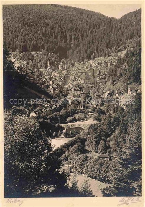Triberg Schwarzwald BW Nadelwald Tal Villen Holzhaeuser Wald Baeume Kurgarten Ba