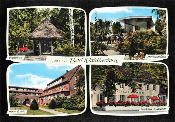 Bad Waldliesborn Vogelhaus Musikpavillon Haus-Carola Kurhaus-Lindenhof Kurpark B