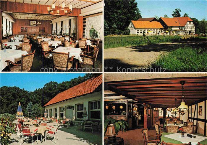 Schieder-Schwalenberg Lippe NRW Fischanger Waldrestaurant Hotel Terrasse Fachwer