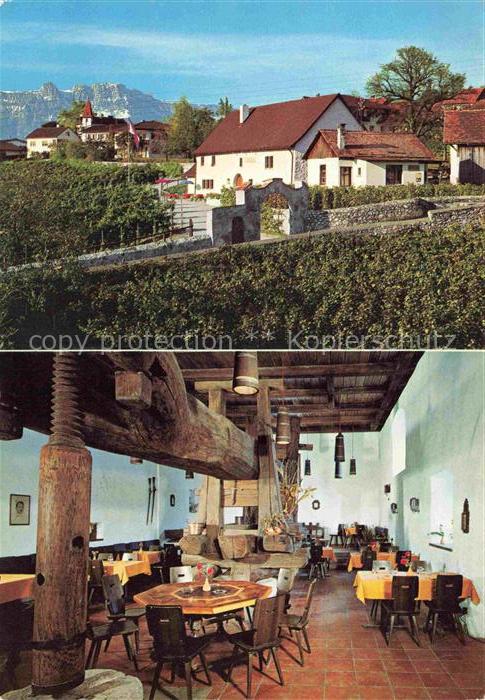 Vaduz Liechtenstein FL Restaurant-Torkel Weinpresse Weingarten Berge Alpenpanora