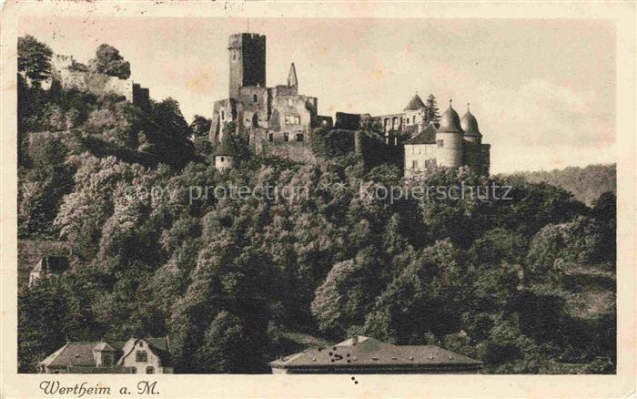 Wertheim Main Schlossruine