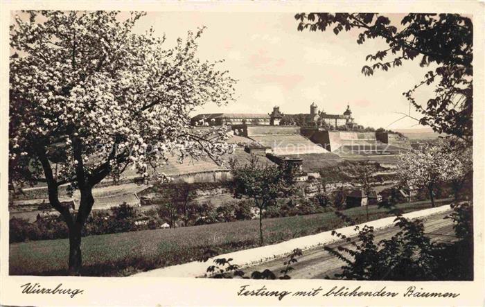 WueRZBURG Bayern Festung Marienberg mit bluehenden Baeumen