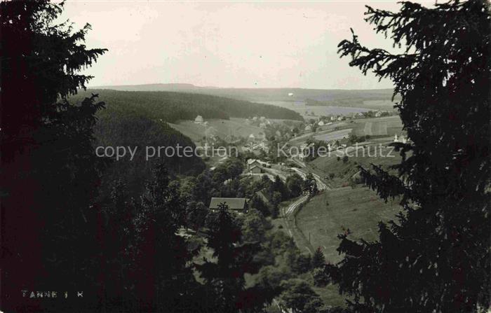 Tanne Harz Wernigerode Sachsen-Anhalt Panorama Blick ins Tal vom Waldrand aus