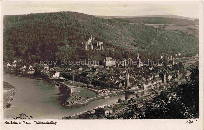 Wertheim Main Panorama mit Taubermuendung