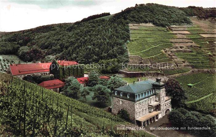 Marienthal Ahr Bad Neuenahr-Ahrweiler Weinbaudomaene mit Bundesschule