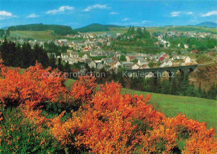 Daun Vulkaneifel Rheinland-Pfalz Panorama mit Bungalows