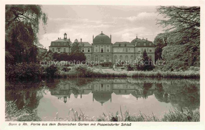 BONN Rhein Partie aus dem Botanischen Garten mit Poppelsdorfer Schloss