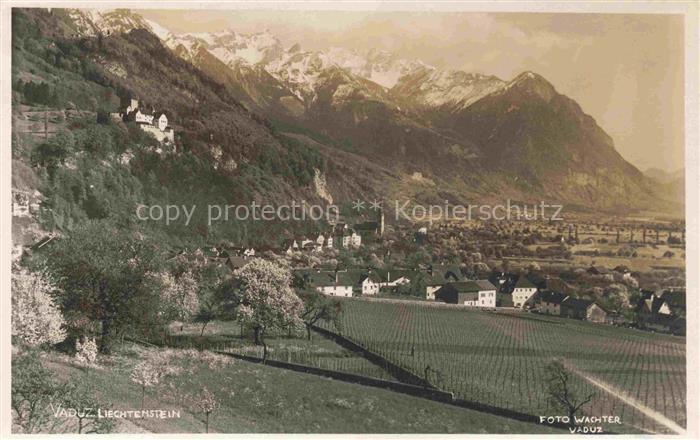 Vaduz Liechtenstein FL Panorama mit Schloss Vaduz