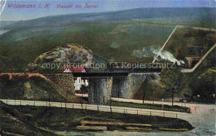 Wildemann Harz Goslar Niedersachsen Viadukt mit Tunnel