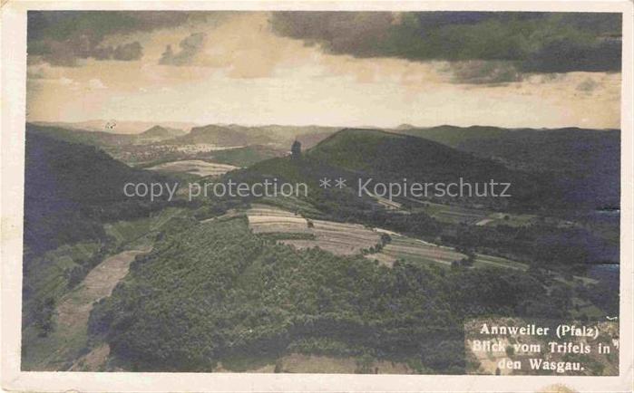 Annweiler Trifels Fliegeraufnahme