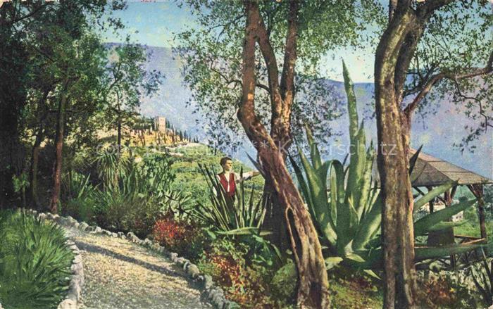 Arco  Trentino IT Giardino